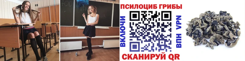 Псилоцибиновые грибы мицелий Анива