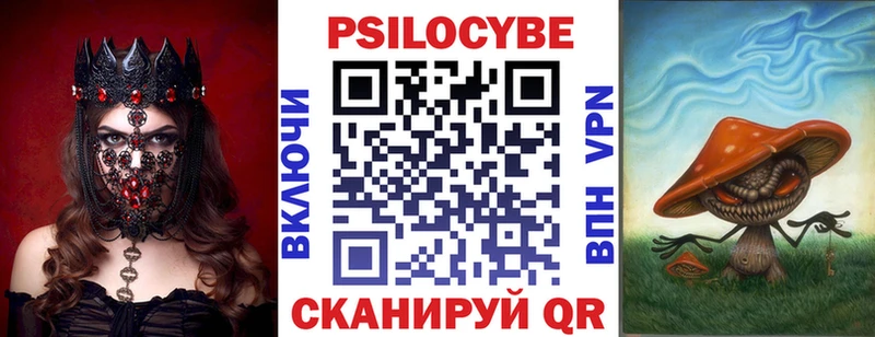 наркошоп  Анива  Галлюциногенные грибы Psilocybe 